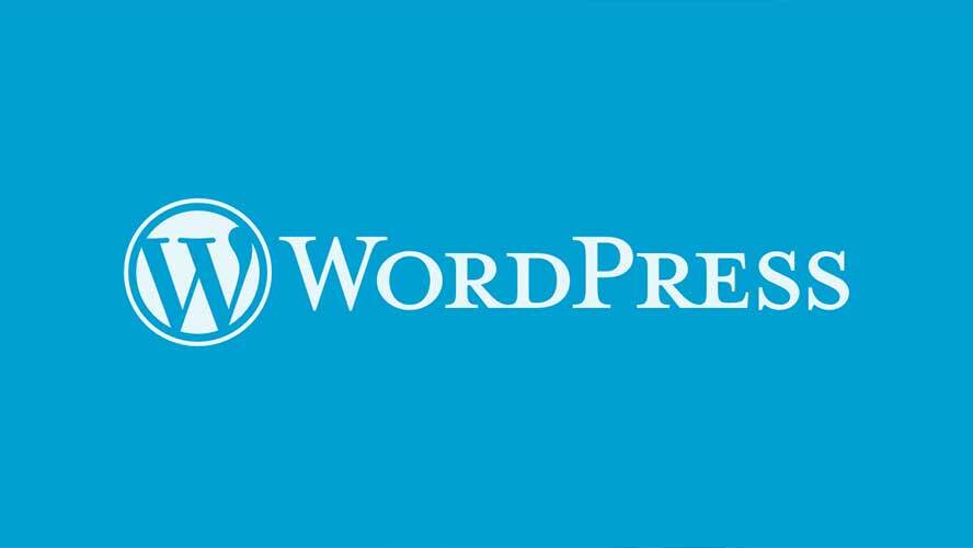 6 Best Drag and Drop WordPress Page Builders Compared (2022)