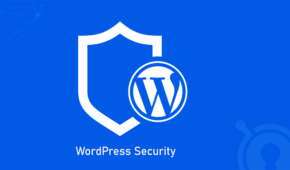 A Complete Step-by-step Guide on WordPress Security